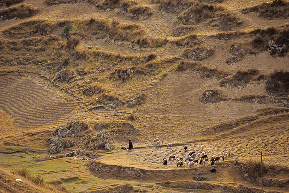 Chinchero -