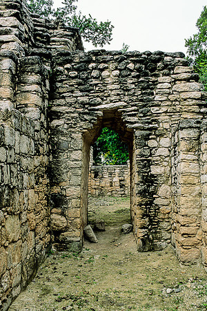 Calakmul   - Structure 13 - Valuted passageway