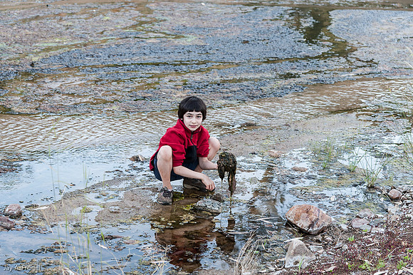 Leah collecting algae, Trephina Gorge Nature Park, NT