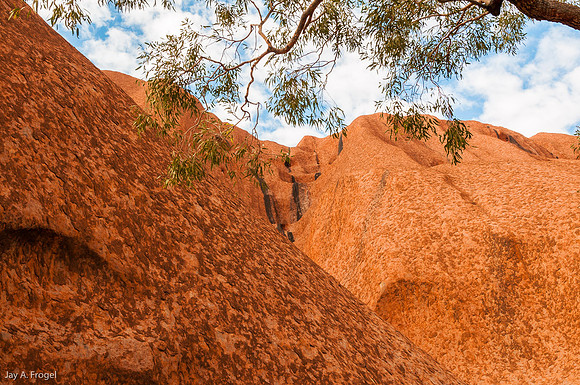 Looking up from the Base Walk around Uluru