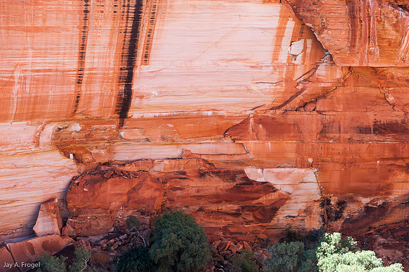 Smooth wall of Kings Canyon - detail