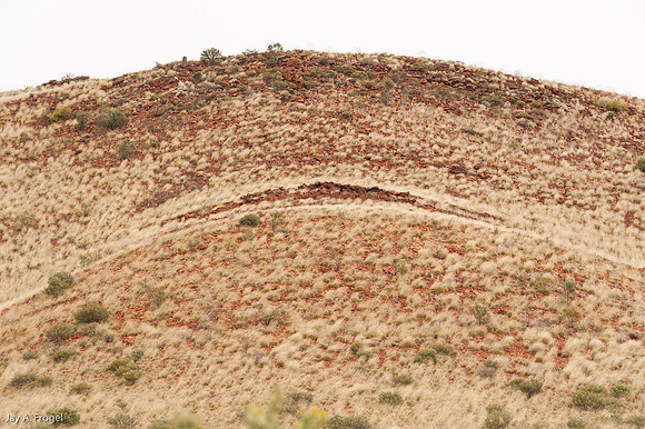 Wind and grass, West MacDonnell Nat'l Park