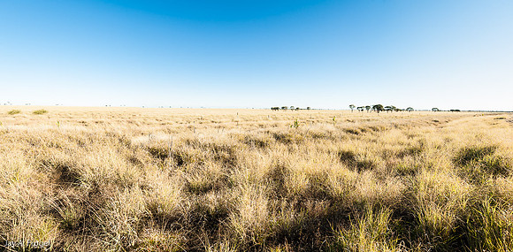 East of Longreach
