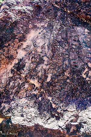 Petroglyph telling the Caterpillar Dreaming Story