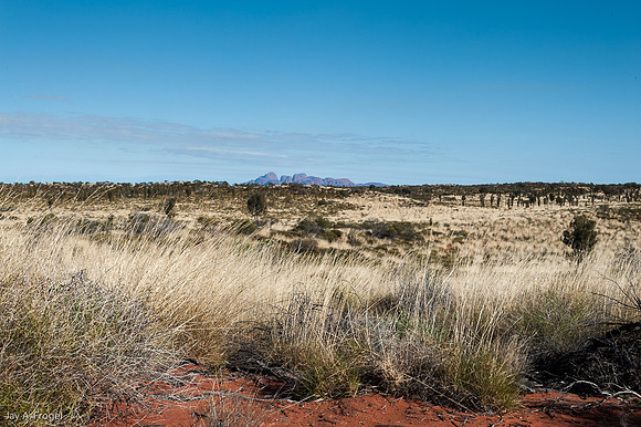 Red Sand and the Olgas from near Uluru
