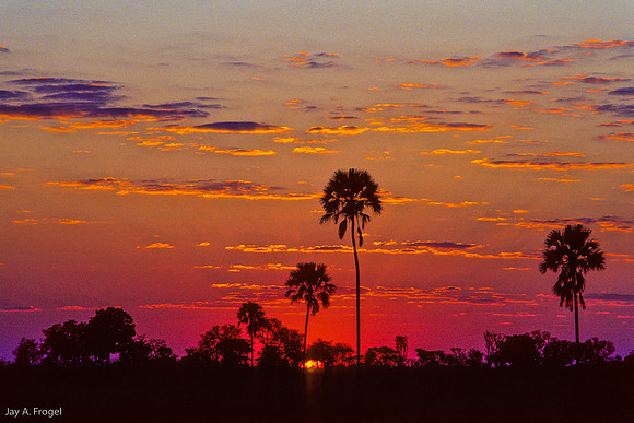 Sunset, Malala Pan, Hwange, Zimbabwe
