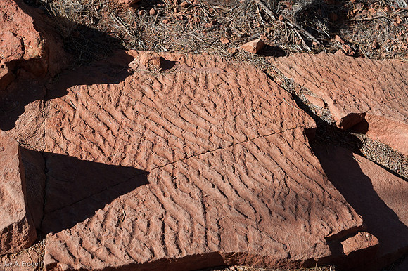 Petrified ripples from water on sand.  Such ripples are thought to have been left by the Carpet Snake Dreaming.