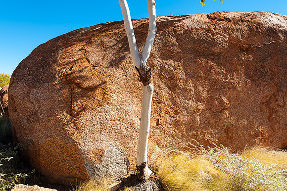Ghost Gum and a Devil's Marble