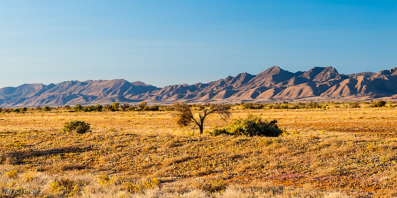 Looking east towards the Flinders Ranges from the B83