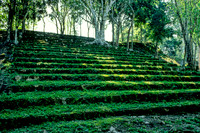 Kohunlich - The 27 Steps