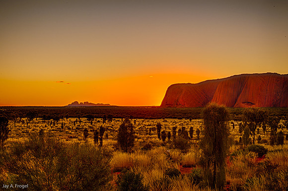Sunset, Uluru, the Olgas, and immature Desert Oaks
