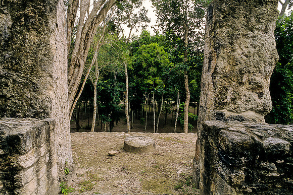 Calakmul - Structure 6, looking down