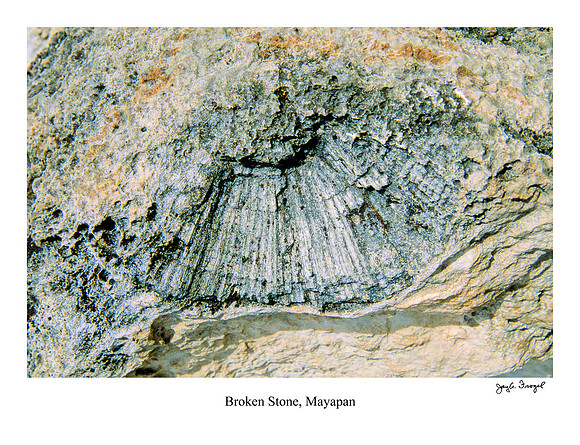 Mayapan -