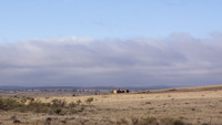 Ruined Homestead South of Hawker on the B80