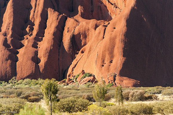 Morning light on Uluru - 1