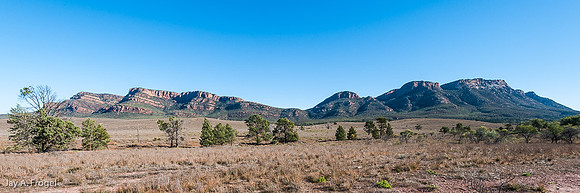 Looking west towards the east wall of Wilpena Pound from Rawnsley Lookout