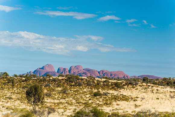 The Olgas