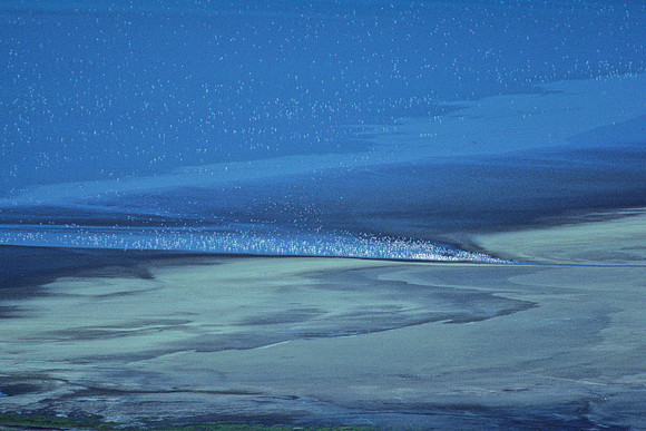 Flamingos take to the Air, Ngorongoro, from the Rim