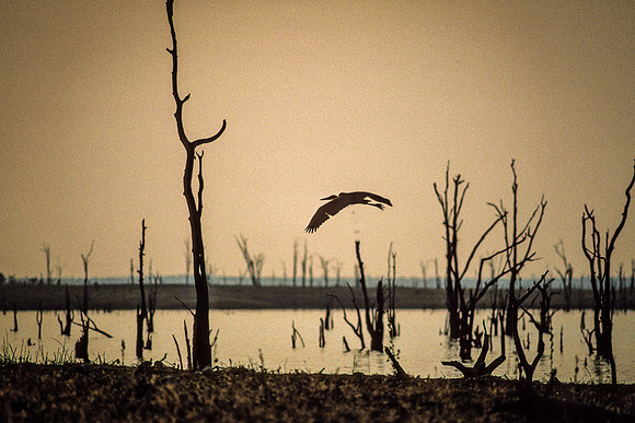 Lake Kariba