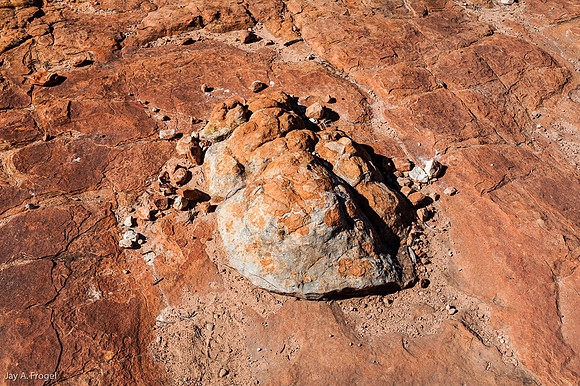 "Tortoise turned to stone", Kings canyon