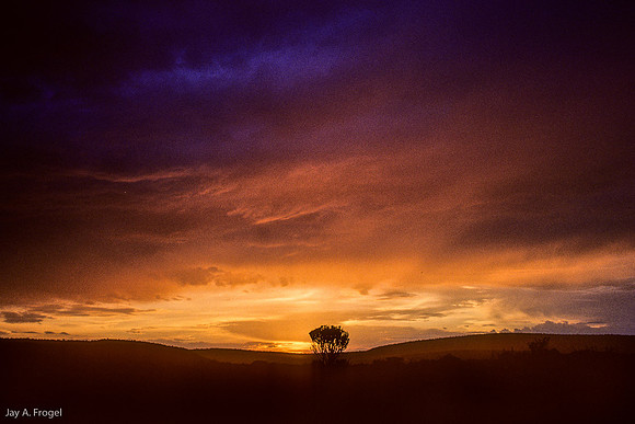 Sunset, Masai Mara
