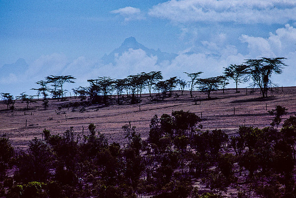 Mt. Kenya, Early Morning