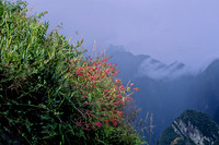 Macchu Pichu