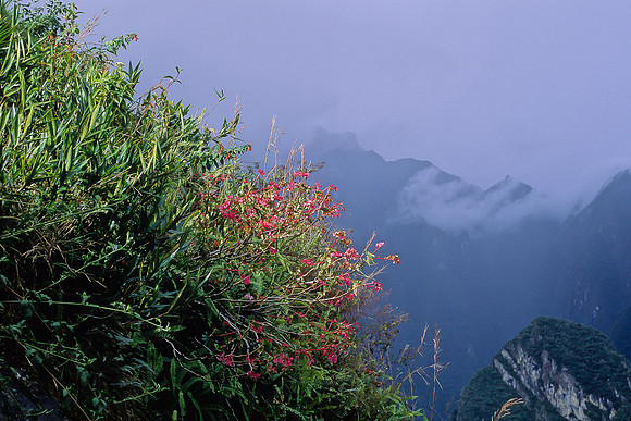 Macchu Pichu