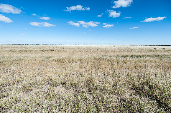 East of Winton