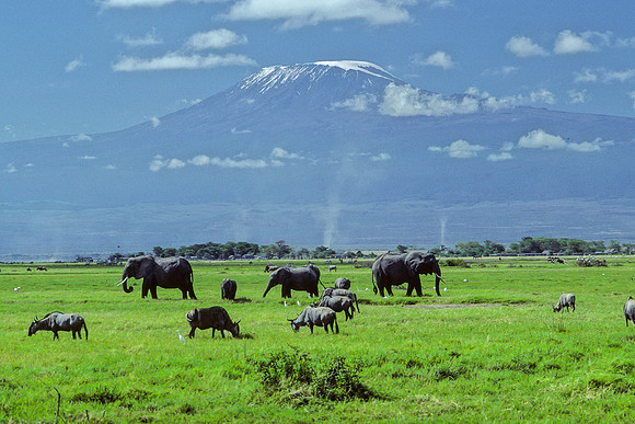 Kilimanjaro and the Grasslands of Amboseli