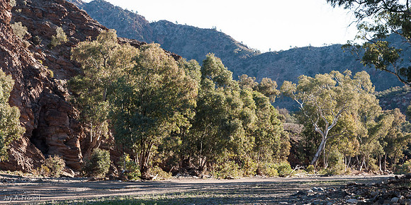 The Brachina Gorge Road